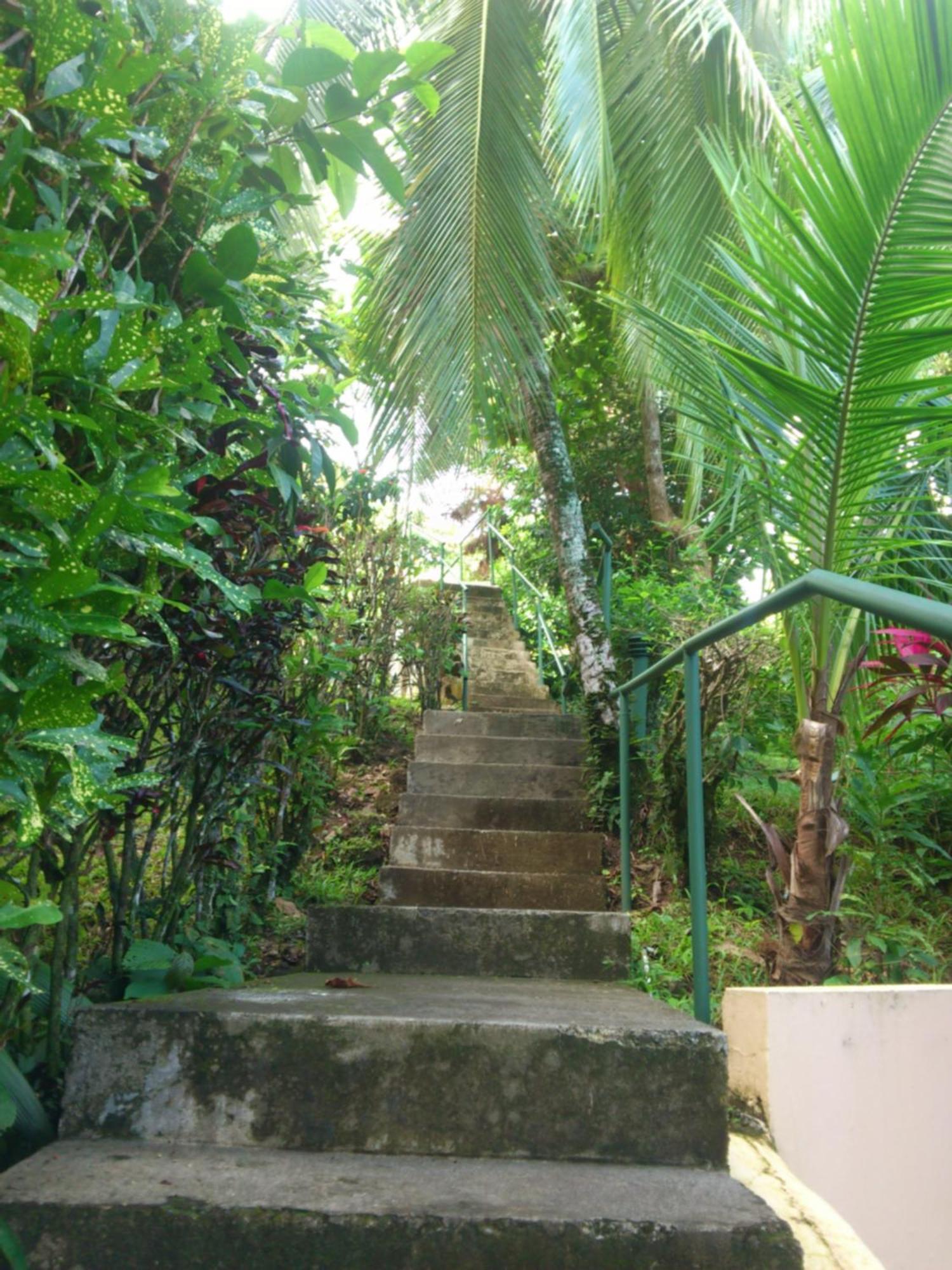 Karahe Beach Hotel Manuel Antonio Quarto foto